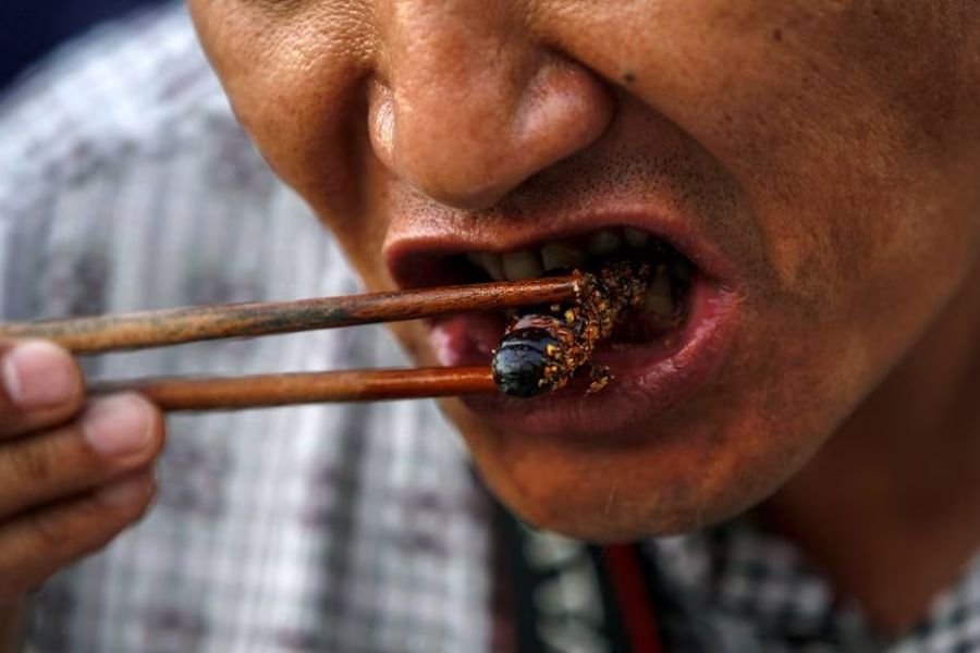 Comidas exóticas